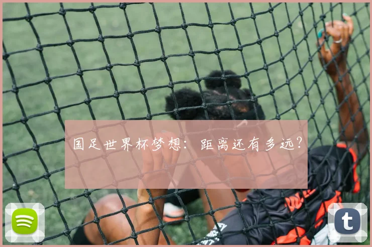 国足世界杯梦想：距离还有多远？
