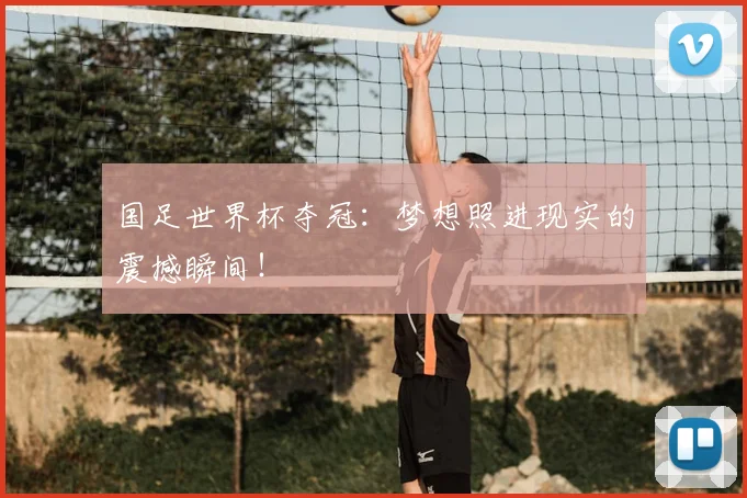 国足世界杯夺冠：梦想照进现实的震撼瞬间！