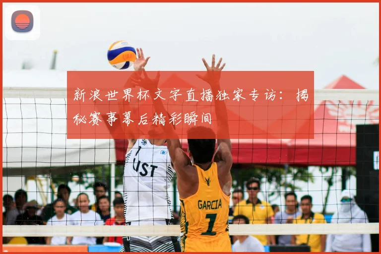 新浪世界杯文字直播独家专访：揭秘赛事幕后精彩瞬间