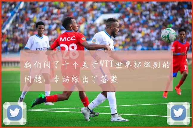 我们问了十个关于WTT世界杯级别的问题，专访给出了答案