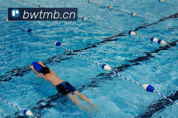 星空体育网页登录版平台生态图